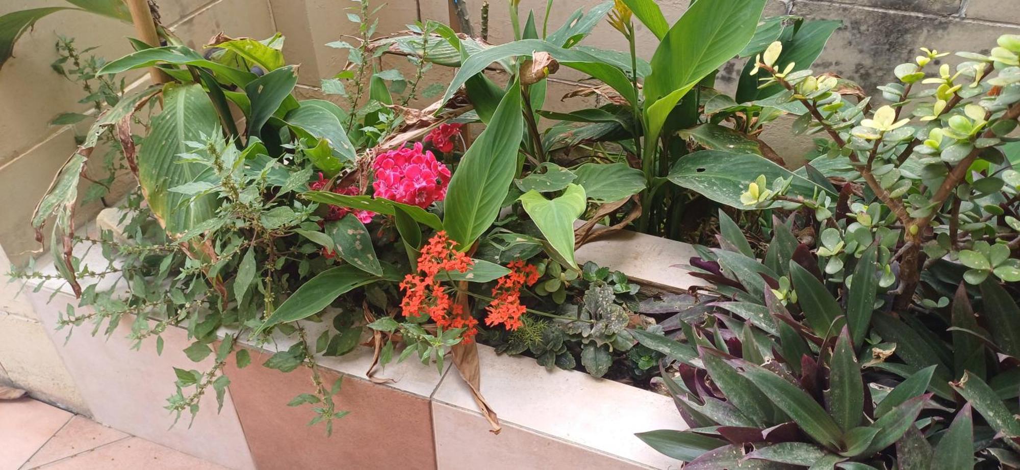 Cosy Spacious Maisonette Marsaskala Ngoại thất bức ảnh